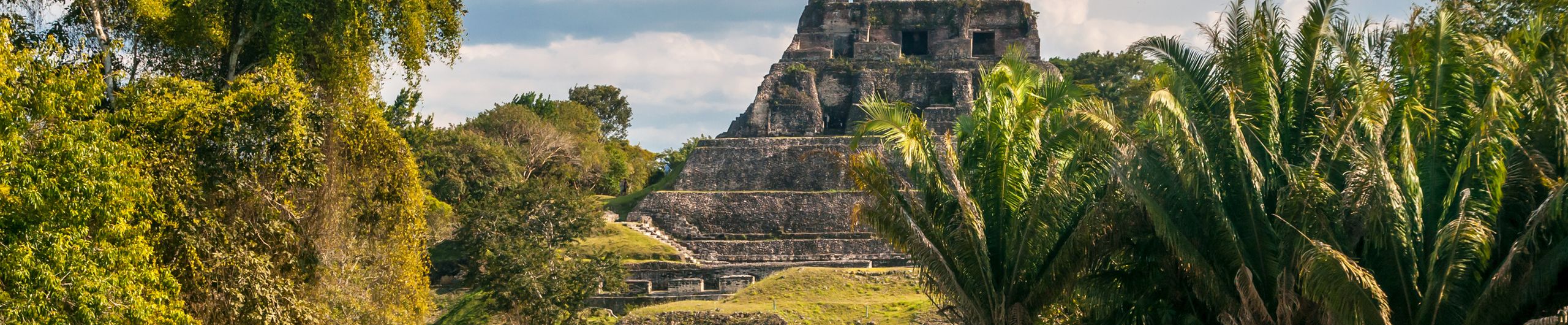 La Noche de los Mayas