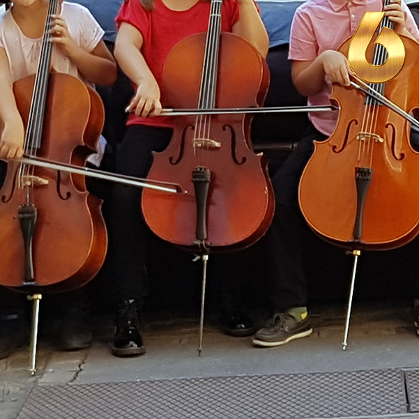 Violoncelles