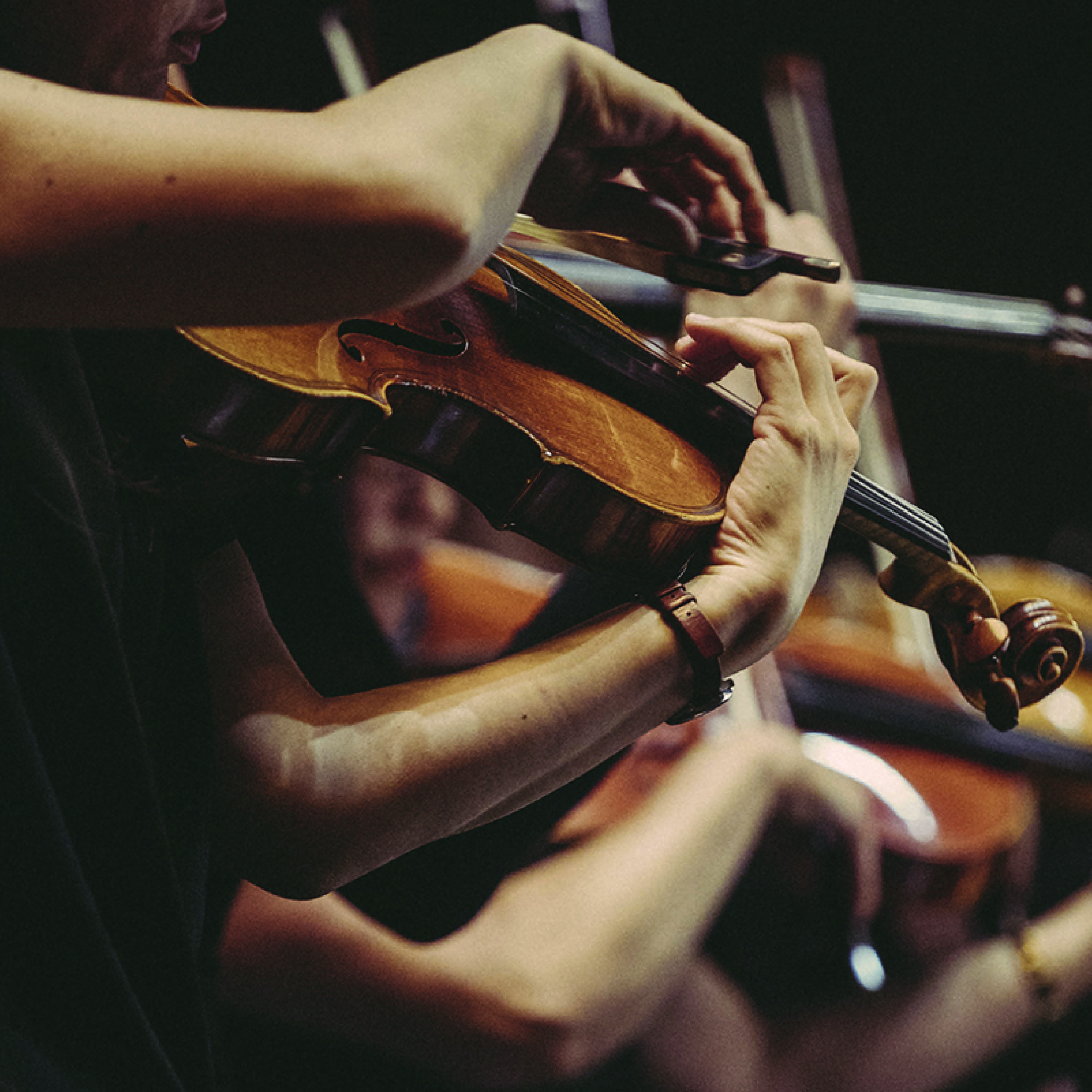 Orchestre Dijon Bourgogne © Romain Bassenne / Atelier Marge Design