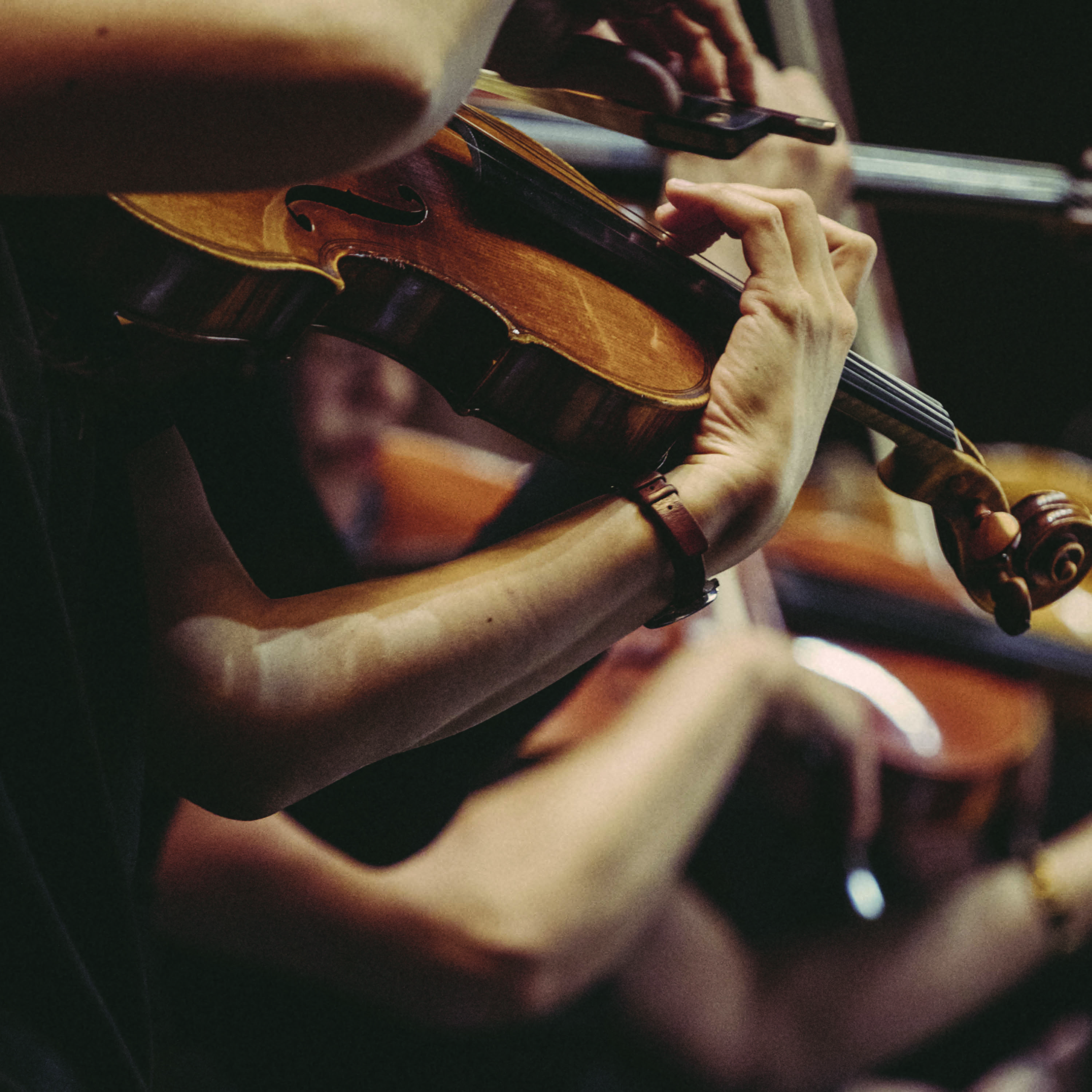 Orchestre Dijon Bourgogne © Romain Bassenne / Atelier Marge Design