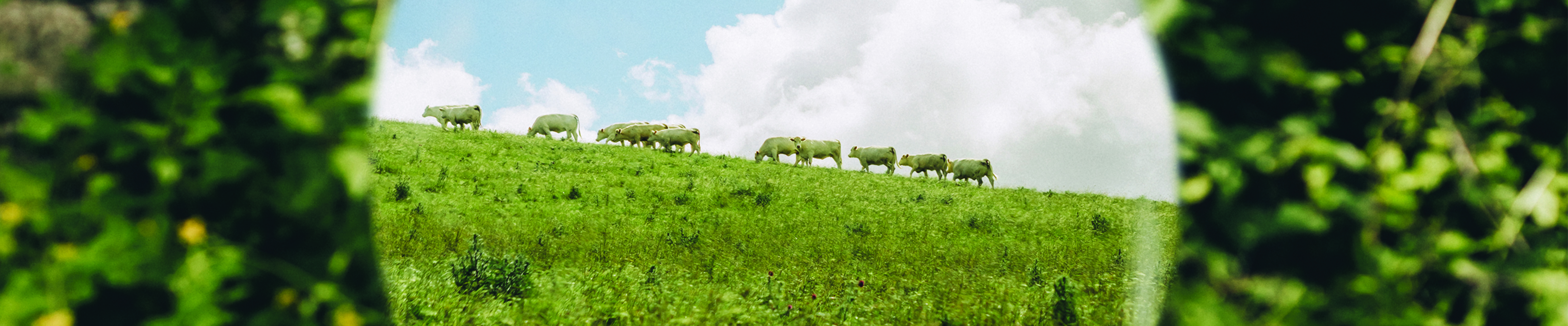PASTORALE