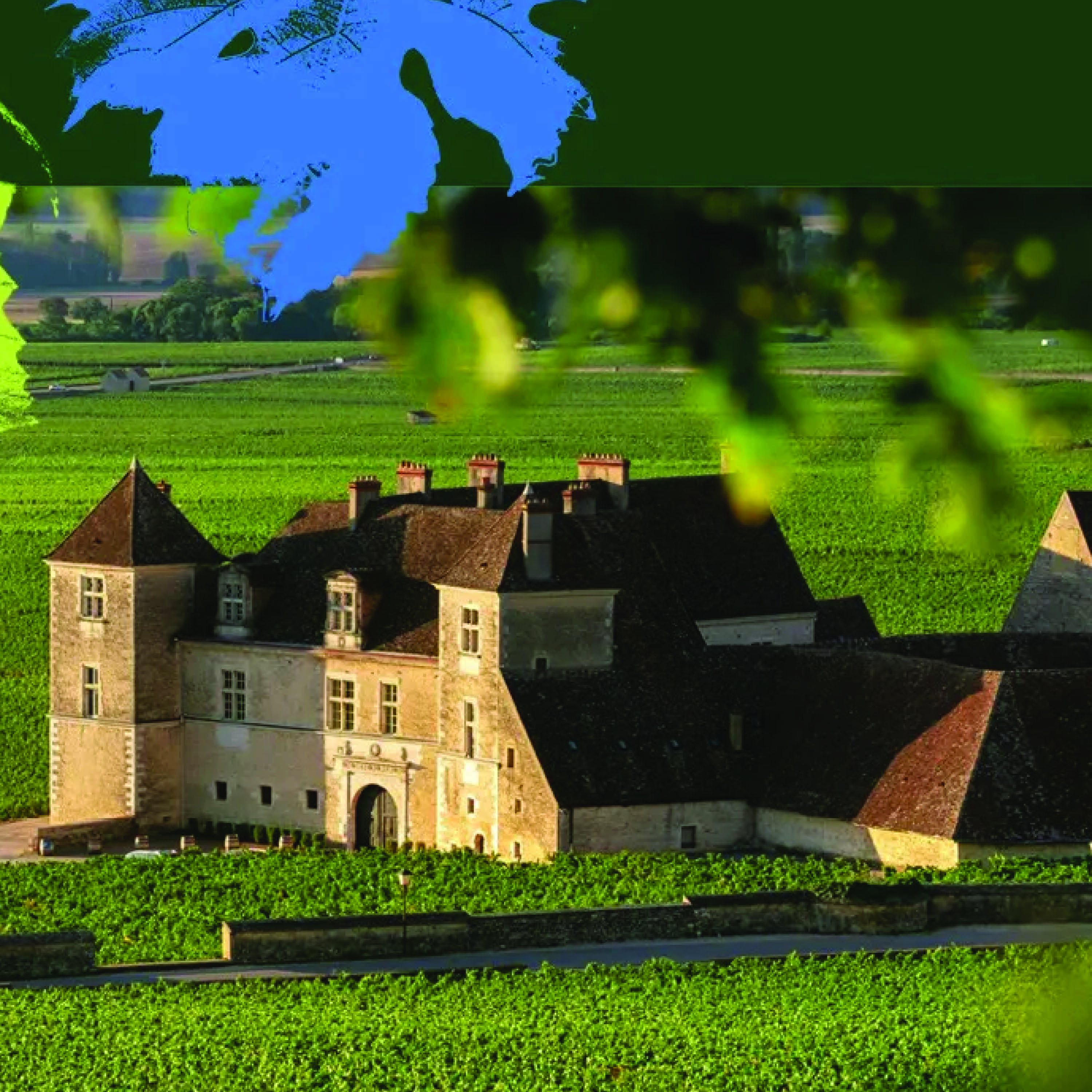 Musique & Vin © Musique & Vin