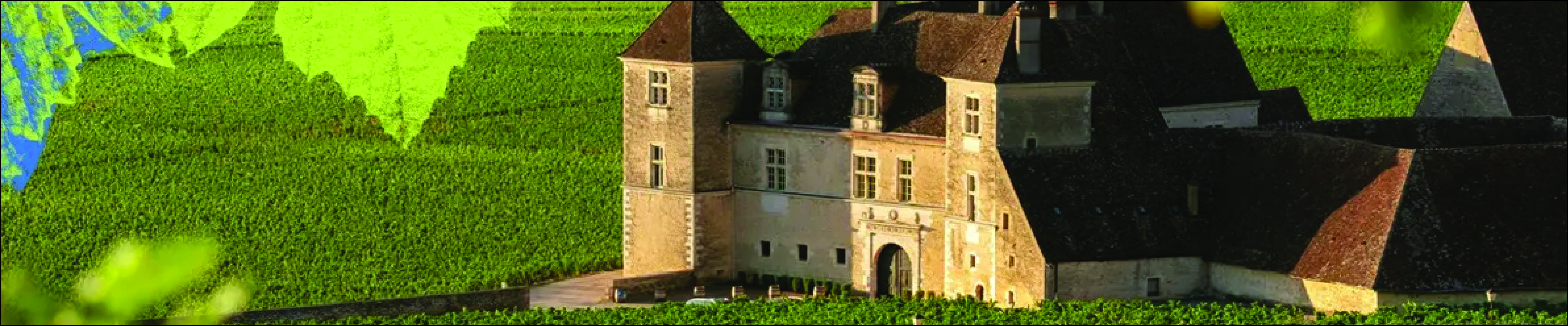 Musique & Vin