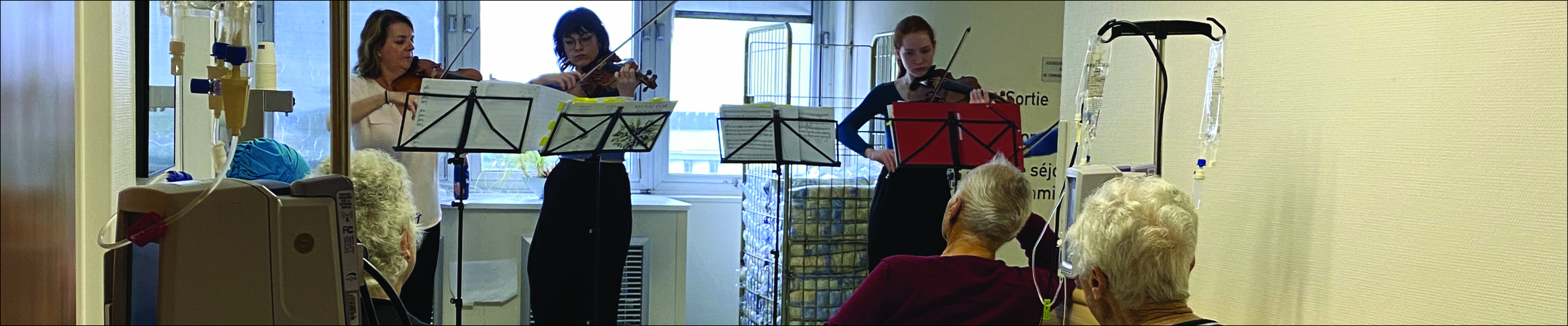 Les violons voyageurs