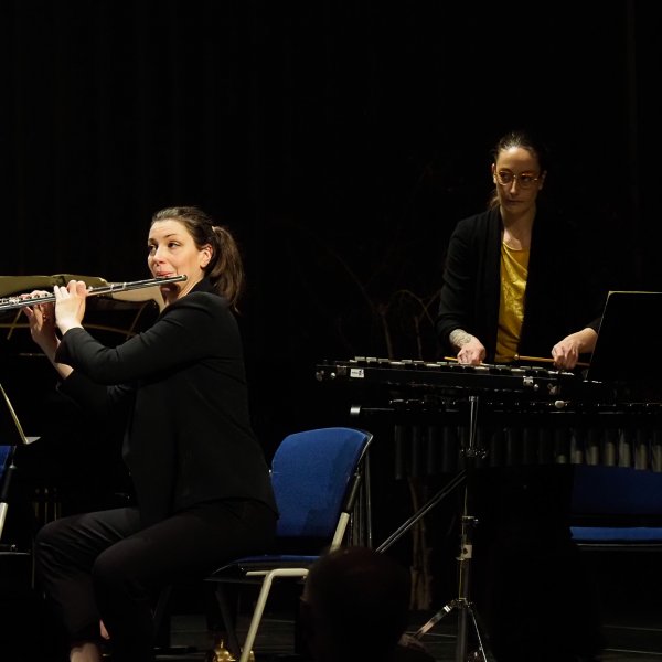 Orchestre Dijon Bourgogne, Le Carnaval des animaux © Stéphane Floreani