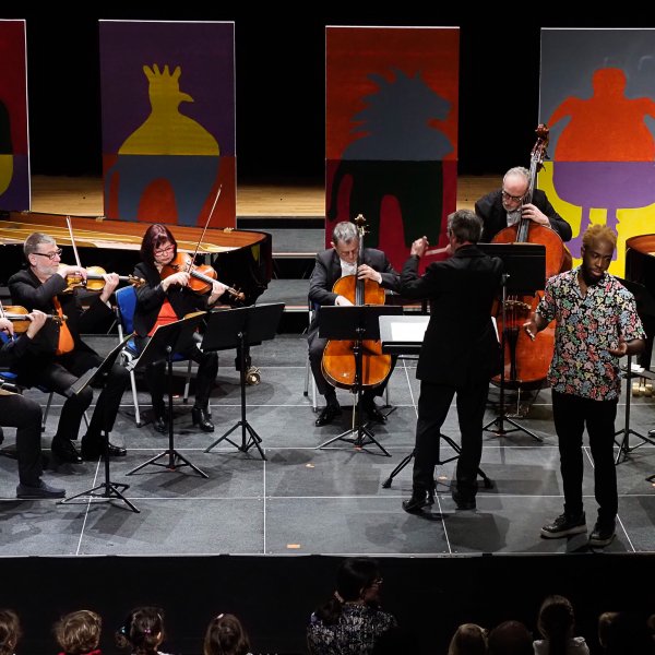 Orchestre Dijon Bourgogne, Le Carnaval des animaux © Stéphane Floreani