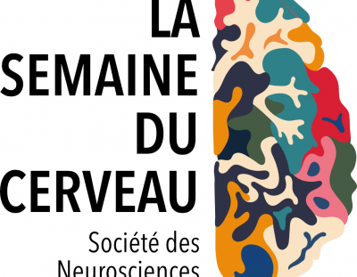 © La semaine du cerveau