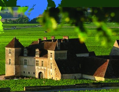 Musique & Vin © Musique & Vin